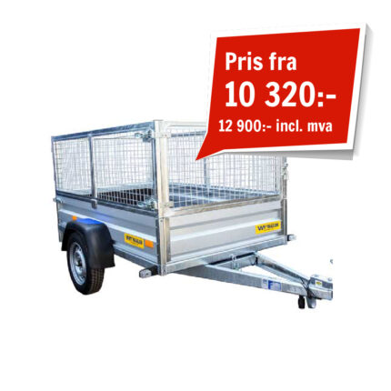 WT-NO-Cat-image-Rityta 1-100