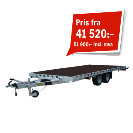 WT-NO-Cat-image-Rityta 1_8-100